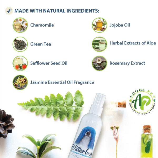 Waterless Shampoo + Conditioner (1oz)