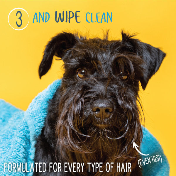 Waterless Shampoo + Conditioner (1oz)