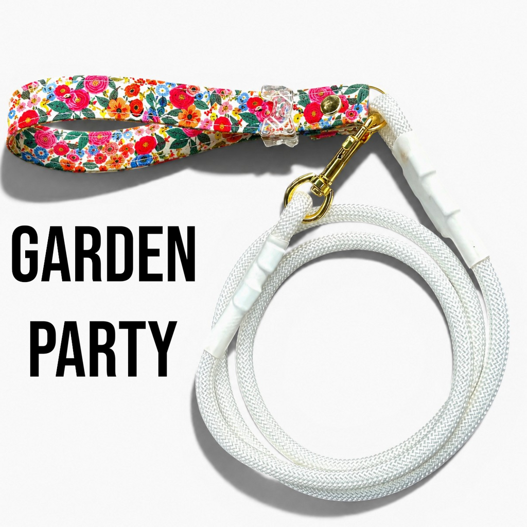 Classic Collection Leashes
