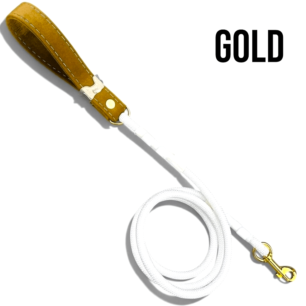 Luxe Collection Leashes
